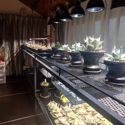 a1f49e20f1afe34b54b208d781acf9