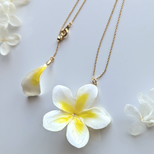 受注制作】【生花】Plumeria. 本物のお花 プルメリアの花びら