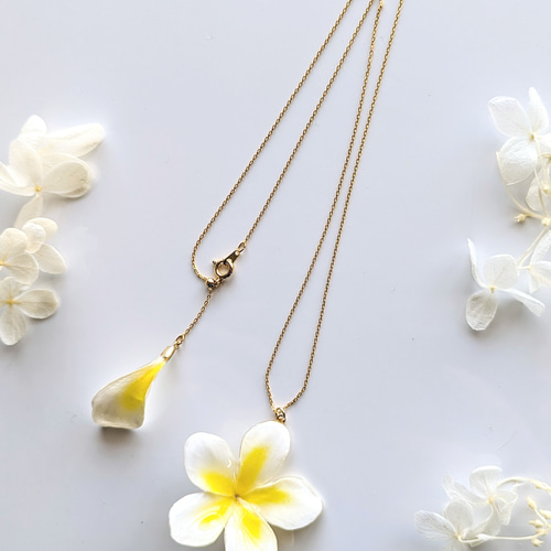 受注制作】【生花】Plumeria. 本物のお花 プルメリアの花びら