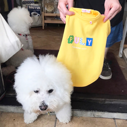 うちの子 お名前ドッグウェア│お散歩ウェア　犬　愛犬グッズ 3枚目の画像