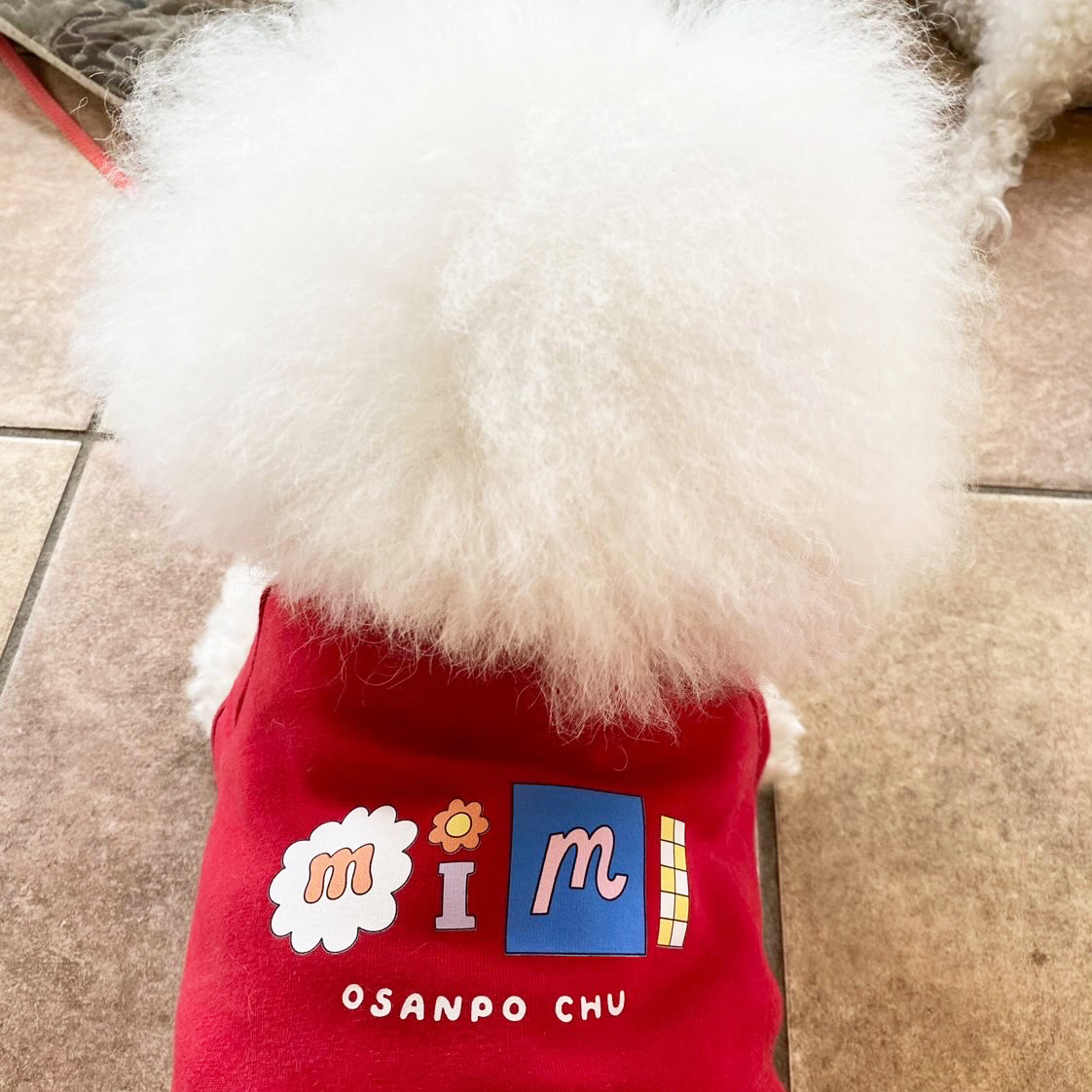 うちの子 お名前ドッグウェア│お散歩ウェア　犬　愛犬グッズ