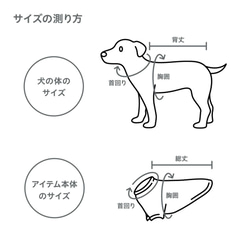 うちの子 カレッジデザイン ドッグウェア│お散歩ウェア　犬　愛犬グッズ 11枚目の画像