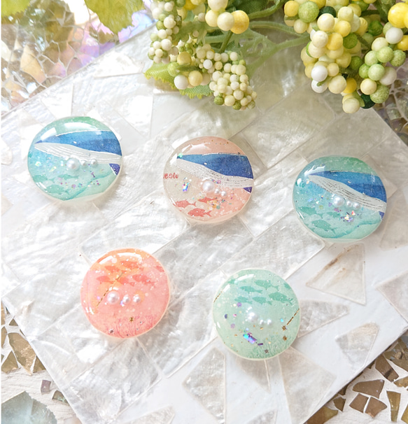 クジラカボションとお魚ボタン☆5個 s5 くじら/鯨/海/ボタン 