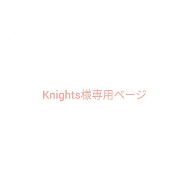 Knights様専用ページ 1枚目の画像