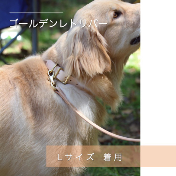 首輪・リードセット 【5%割引】 犬 首輪 リード イタリアンレザー シンプルな美しさ 小型犬 中型犬 大型犬 20枚目の画像