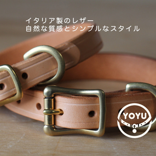 小型犬〜中型犬用首輪＋リードセットブッテーロ原色手になじみ艶が育つ