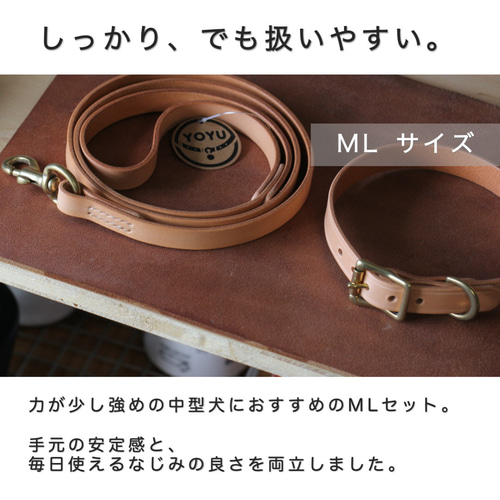 小型犬〜中型犬用首輪＋リードセットブッテーロ原色手になじみ艶