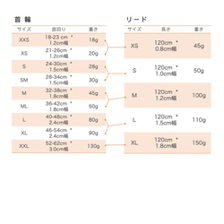  第15張的照片