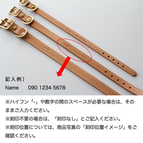小型犬〜中型犬用首輪＋リードセットブッテーロ原色手になじみ艶が育つ