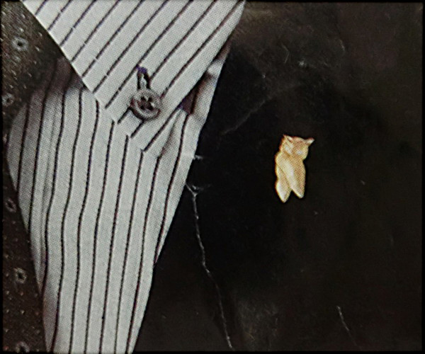 『フクロウのブローチ』銀製:純金仕上・天然ダイヤモンド（４月の誕生石／ピンズ【あなたの誕生石もセット出来ます。】◎日本製