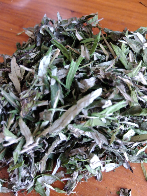 国産よもぎ 無農薬／無肥料 【7g×6個】よもぎ湯／よもぎ蒸し 土に 