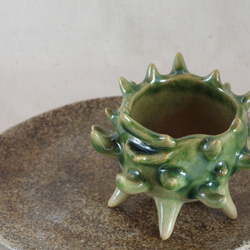 棘棘G陶製植木鉢 10枚目の画像
