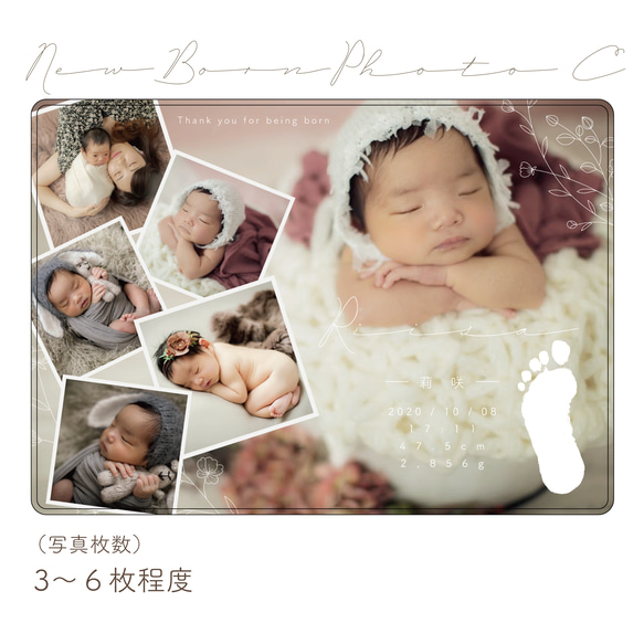 「NewBornPhoto C」セミオーダーデザイン　※単品購入不可　[OPDTW29] 1枚目の画像