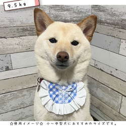 小～中型犬用たっぷりフリルのギンガムチェックスタイ/③スミレ n-0160シリーズ 5枚目の画像
