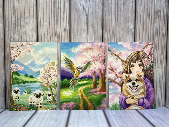 羊のポストカード　桜と羊　同柄ポストカード３枚セット 2枚目の画像