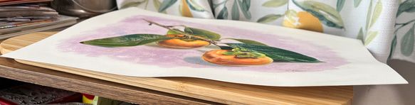 原画『柿』透明水彩 色鉛筆画 5枚目の画像