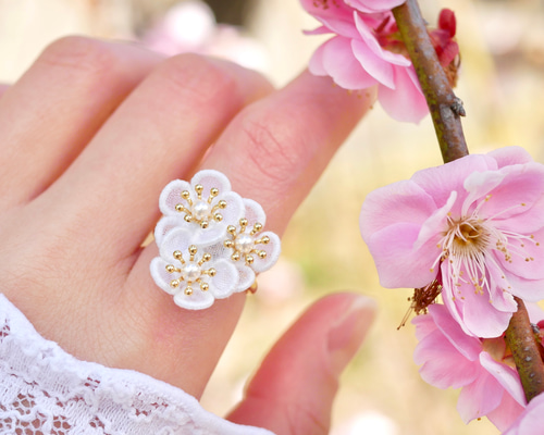 92fbcd22806338c108a74e4009b34f