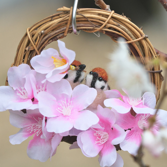 カップルスズメさんと桜のリース 3枚目の画像