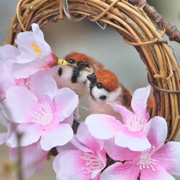 カップルスズメさんと桜のリース 4枚目の画像