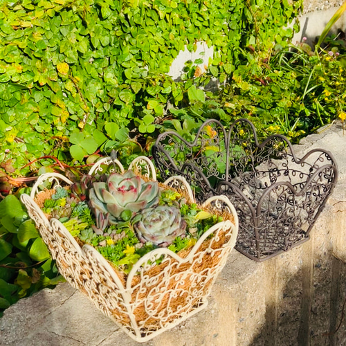 ❤︎かわいいスクエアバスケット❤︎多肉植物寄せ植えそのまま飾れる