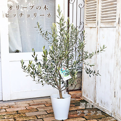 272046fd1401aa57c615944d36e834