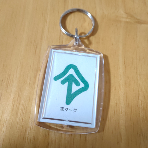【ヒマワリ】 筆談してくださいカード & 耳マークキーホルダー 4点 8a26dbb5849366d29074baa9c4d432