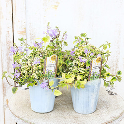 2a91a70aa34a91a2b39962f7644c8e