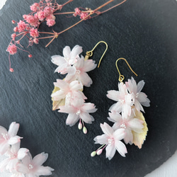 【春の福袋】枝垂れ桜の春色ピアス/イヤリング 桜とかすみ草バレッタ2点セット布花 サクラ さくら 【Creema限定】 3枚目の画像