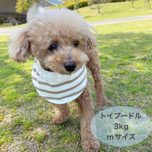 犬猫用 保冷剤ポケット付きクールバンダナ(切り替えコットンレース) 6枚目の画像