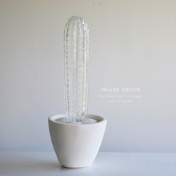 hollow cactus　ブラウニー 1枚目の画像