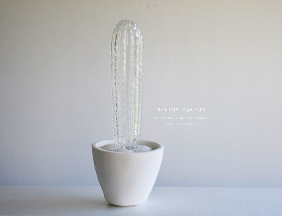 hollow cactus　ブラウニー 1枚目の画像