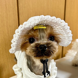 【☆しずく☆プロフも読んで】犬の帽子　リボンの麦わら帽子風　フレッシュ ☆しずく☆プロフも読んで様専用】犬の帽子 リボンの麦わら帽子