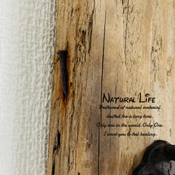 流木のお洒落な壁掛けランタン⁎✧✧キャンドルホルダー✧ナチュラル 雑貨 7枚目の画像