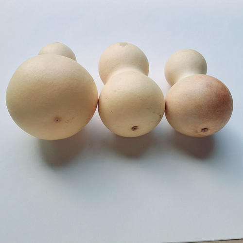 ひょうたん 3個セット 自然乾燥 木材・板 Cocoparis75 通販 17448525