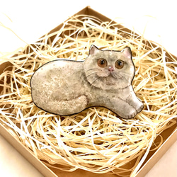 七宝焼　しっぽう焼き　ブリティッシュショートヘア猫さんのブローチ 3枚目の画像