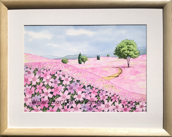 「芝桜の丘05」透明水彩画　原画　風景画　額縁付　F4サイズ 1枚目の画像