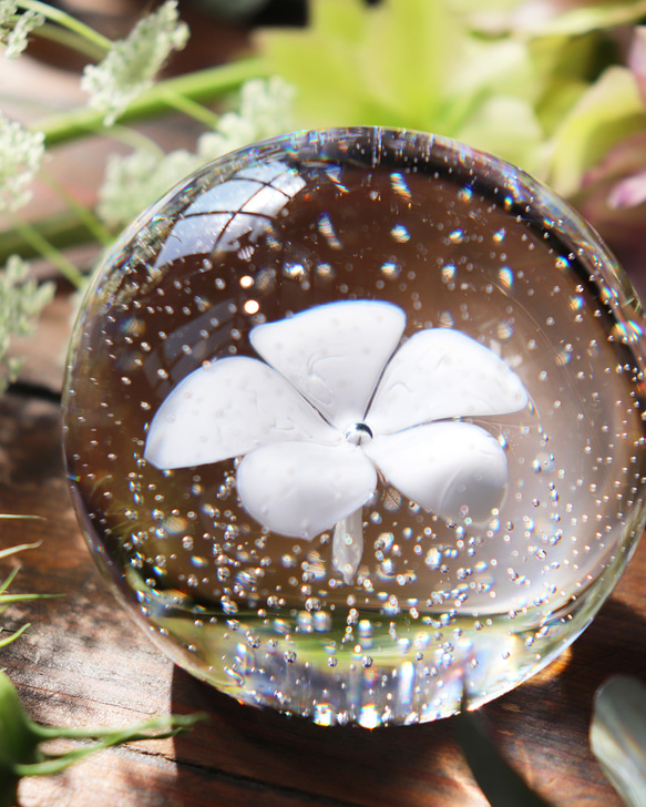 手元供養『こはる -水中花-&フルッタ一輪挿し』ガラス位牌 メモリアル仏具 遺灰 遺骨 ペット 愛犬 愛猫 分骨 ご遺灰など ご遺骨 水中花 ご遺灰 ローマ字か平仮名 **