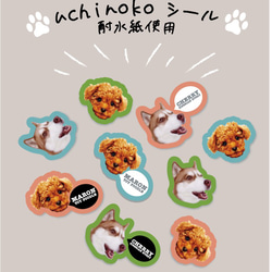 みずえ様専用商品★送料無料★犬uchinokoうちの子★シール★ 1枚目の画像