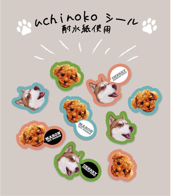 みずえ様専用商品★送料無料★犬uchinokoうちの子★シール★ 1枚目の画像