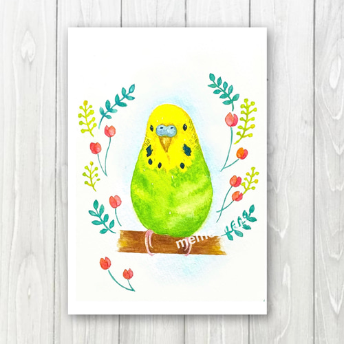 ポストカード［チューリップとインコ］ 手描き 水彩イラスト ポスト  