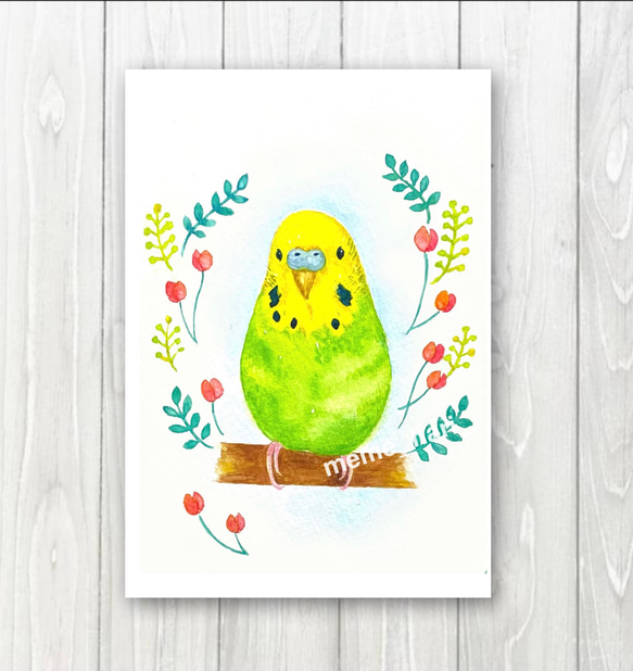 ポストカード［チューリップとインコ］　手描き　水彩イラスト 人気・おすすめ｜多用途・生活用品におすすめ キャンペーン中 即納 即日発送サービス
