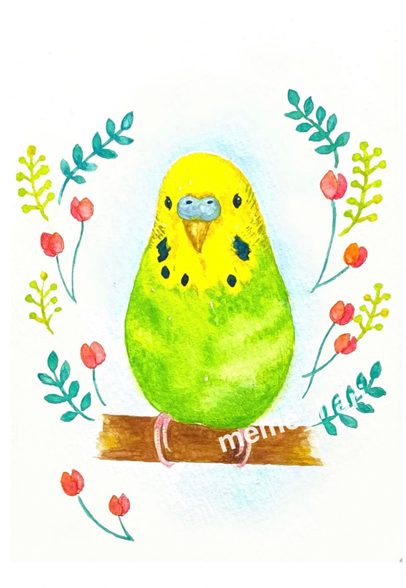 ポストカード［チューリップとインコ］　手描き　水彩イラスト 人気・おすすめ｜多用途・生活用品におすすめ キャンペーン中 即納 即日発送サービス