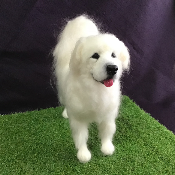 グレートピレニーズ（立ち姿）