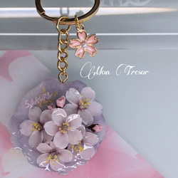 48e064a669fc9fd7f865a6a2313b1f