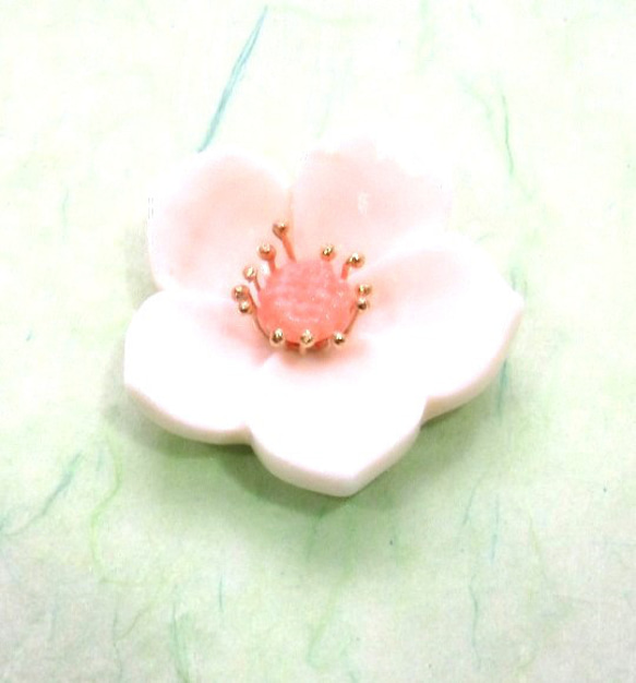 国産珊瑚　天然二色彫り花　ペンダントトップ 国産珊瑚 天然二色彫り花 ペンダントトップ