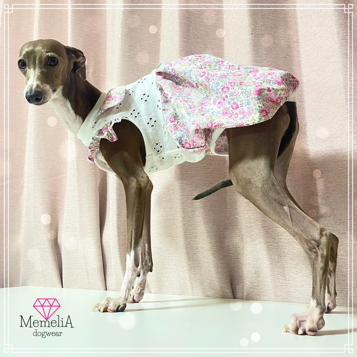 犬服　イタグレ服　バルーンワンピース 犬服イタグレ服バルーンワンピース