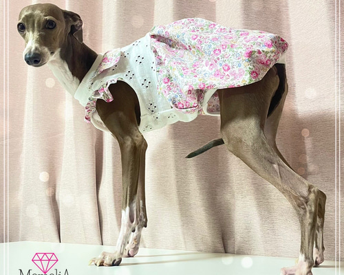 イタグレ用犬服】お色も形も自由に選んで♪定番犬服バルーンワンピース