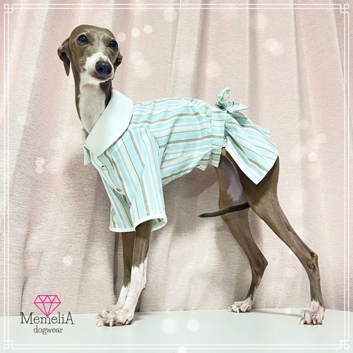 ダックス用犬服】ストレッチが効いてて着やすい♡おしゃれレトロ