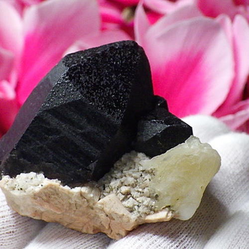 黒水晶結晶56g天然石販売 名取貴石 天然石原石鉱物結晶