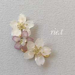 【rie.t】本物の小さな桜　お花見イヤーカフセット 2枚目の画像